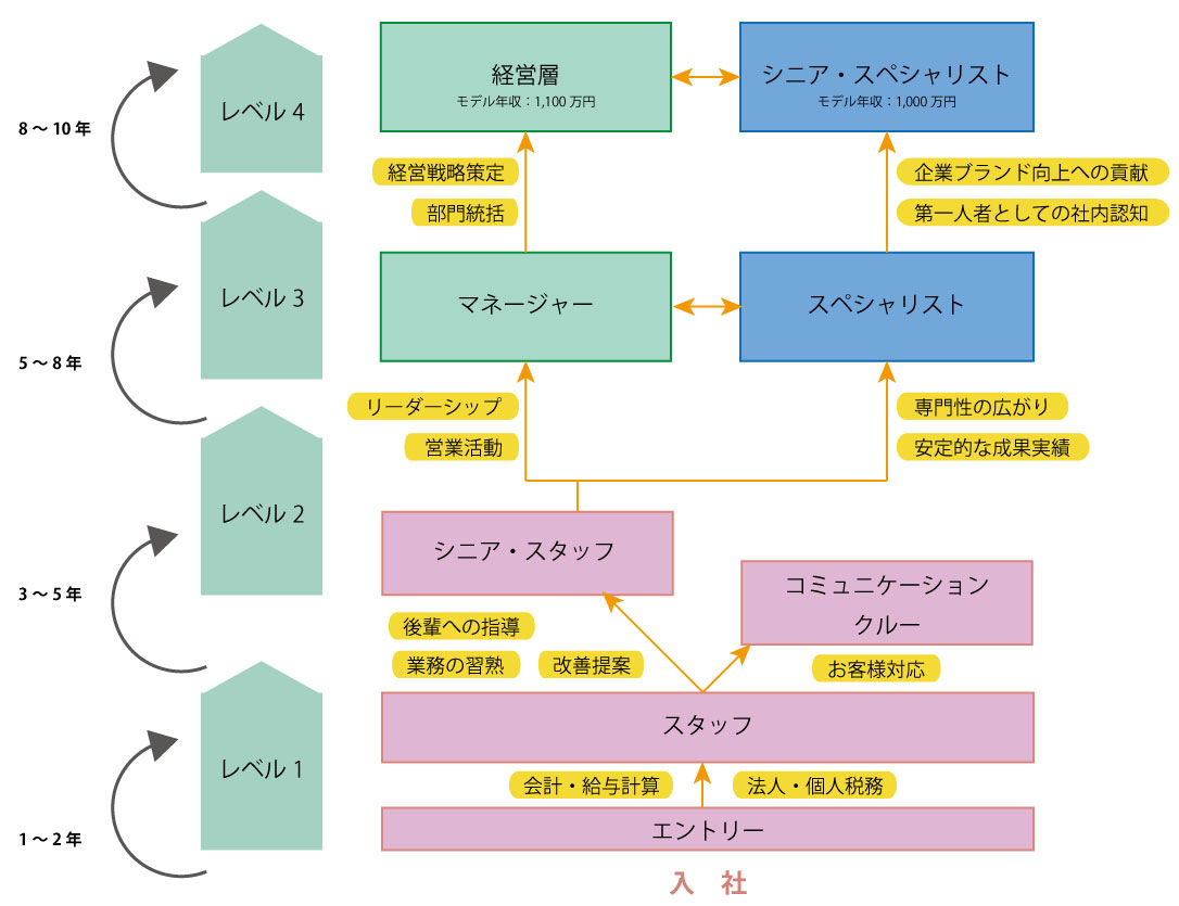 正社員のキャリアマップ